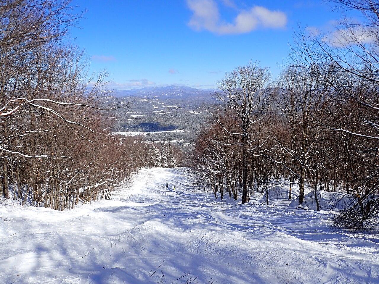 高山滑雪青训观察：天才从哪里来
